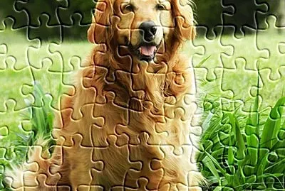 rompecabeza de perrito