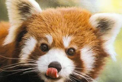 Es mÃ¡gico todo lo que nos rodea!