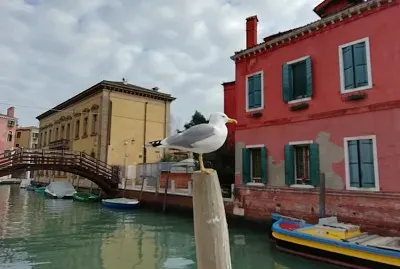 Venice winter 2018