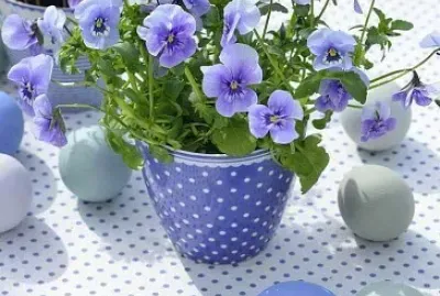 flores