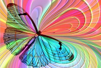 Papillon