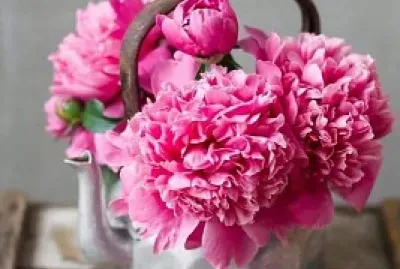 flores
