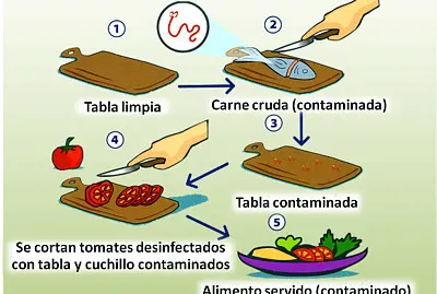 higiene y manipulacion