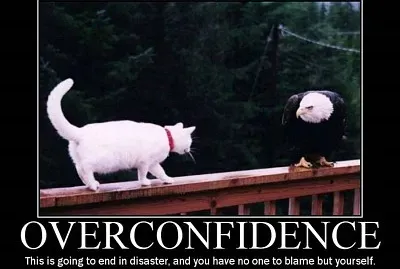 diy.despair.com jigsaw puzzle