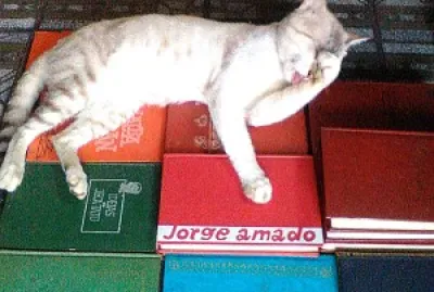 Smigou jigsaw puzzle