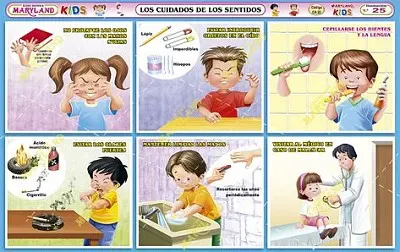 cuidados d elos sentidos