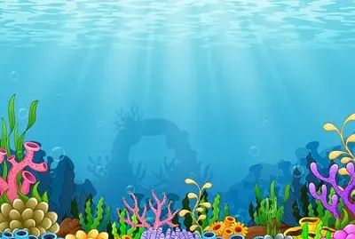barriera corallina