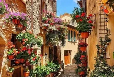 CALLE FLOREADA