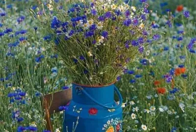 flores jigsaw puzzle