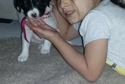 AMORIX jigsaw puzzle