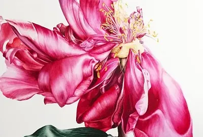 flores