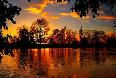 Paisaje jigsaw puzzle