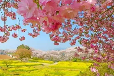 paisaje andino jigsaw puzzle