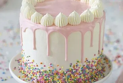 Cake1 jigsaw puzzle