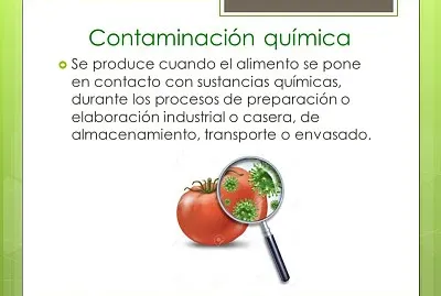 producto carnico