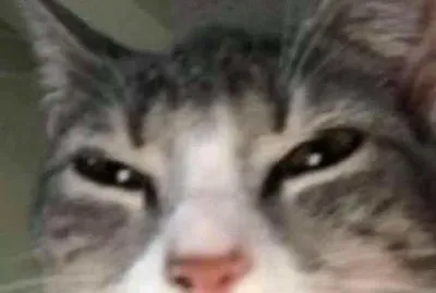 æ‚² ã—ã¿ jigsaw puzzle