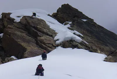 La aguja