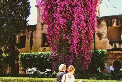 פאזל של Bougainvilea in Andalucia