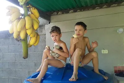 פאזל של nietos