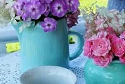 taza