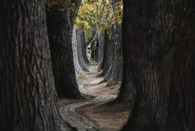 un super camino