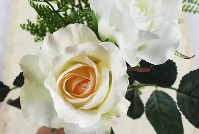 flores