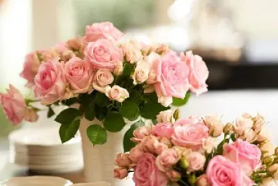 flores