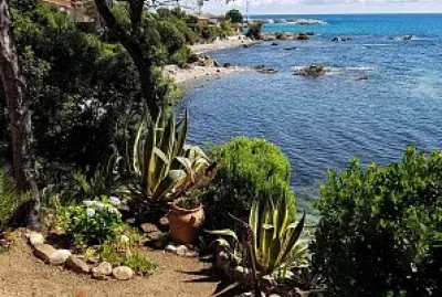 Jardin sur la mer
