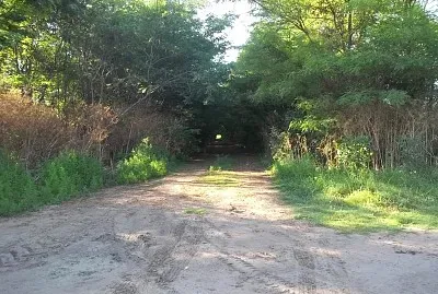 Tunel de Arboles!!!!