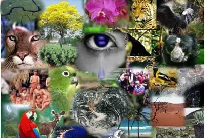 BIODIVERSIDAD