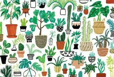 Plantas