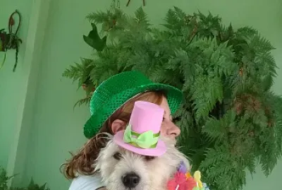 Animais de estimacao