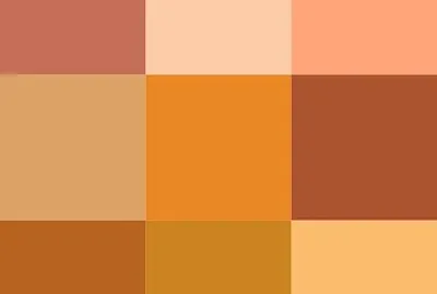 פאזל של Paleta Laranja