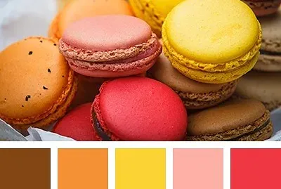 Macarons Com Paleta