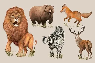 Animales Salvajes