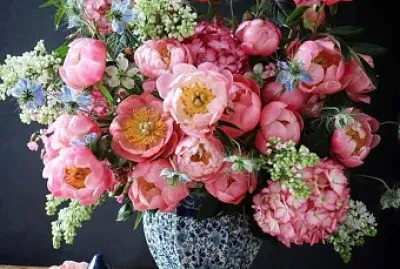flores