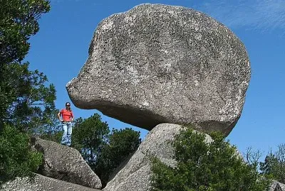 natural jigsaw puzzle