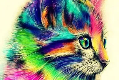 פאזל של Gato Com Paleta