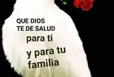 paloma mensajera