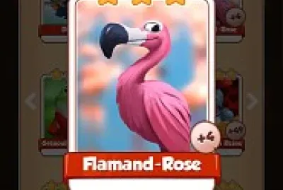 Flamand