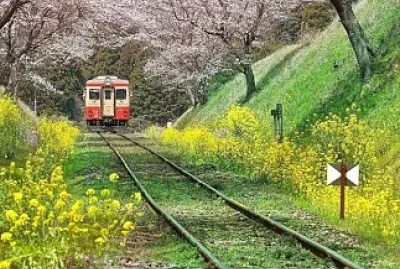 Trem jigsaw puzzle