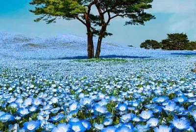 flores