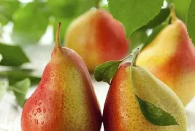 frutas