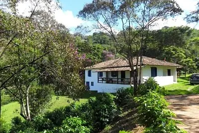 natural jigsaw puzzle