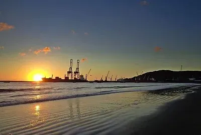 natural jigsaw puzzle