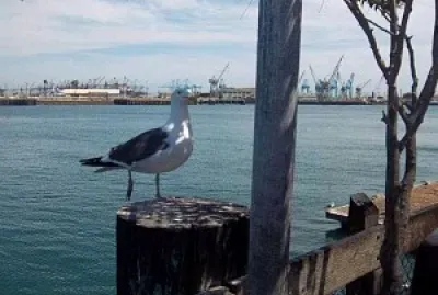 Mother nature and her wonders.