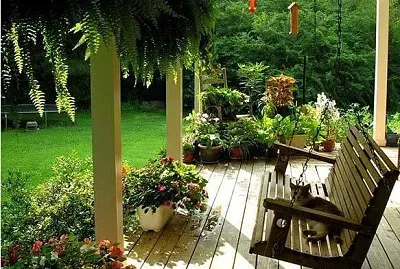 夢想木屋房 jigsaw puzzle