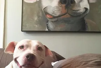 開心的狗狗 jigsaw puzzle