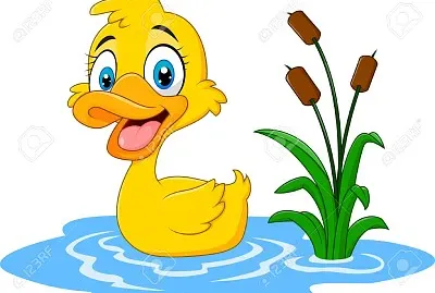 pato jigsaw puzzle