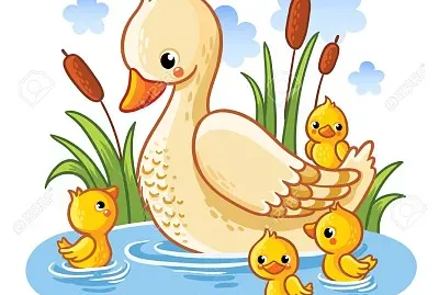 pato jigsaw puzzle
